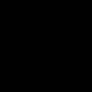 Meet your Posher, Bryce